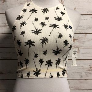 Hollister Palm Tree Crop Top